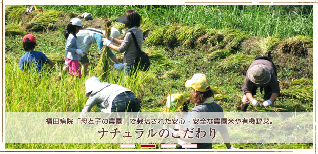 ナチュラルのこだわわり